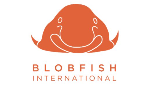 Website design for small business - Blobfish